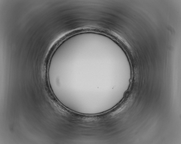 X0000111351021200907100930