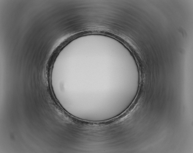 X0000111351022200907100930