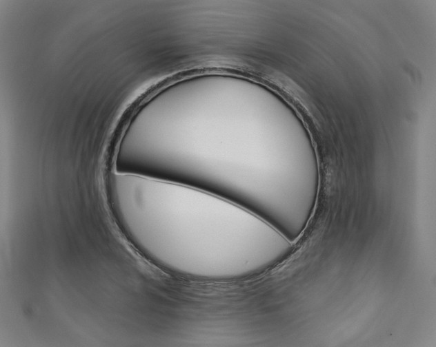 X0000111351024200907100930