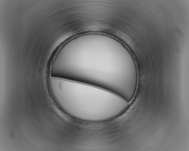 X0000111351026200907100930
