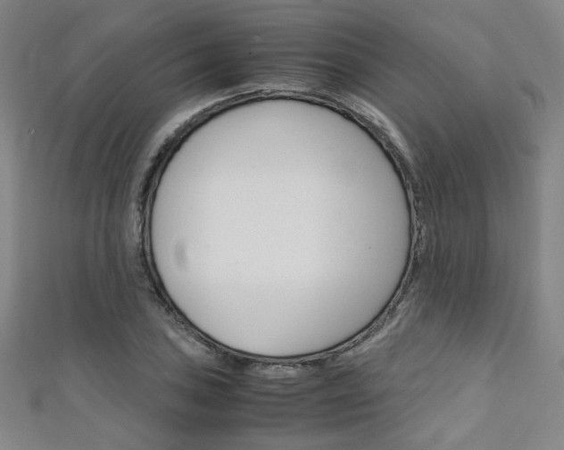 X0000111351027200907100930