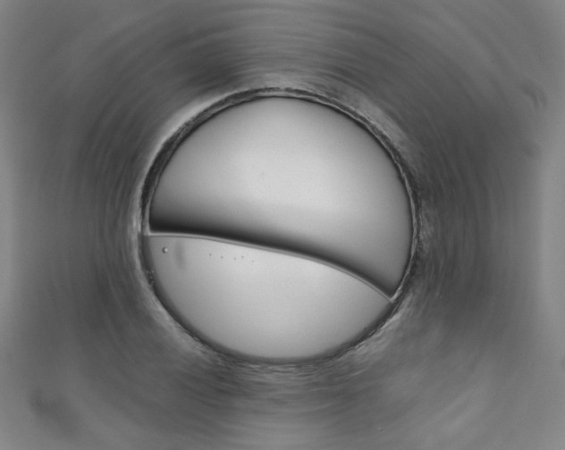 X0000111351028200907100930