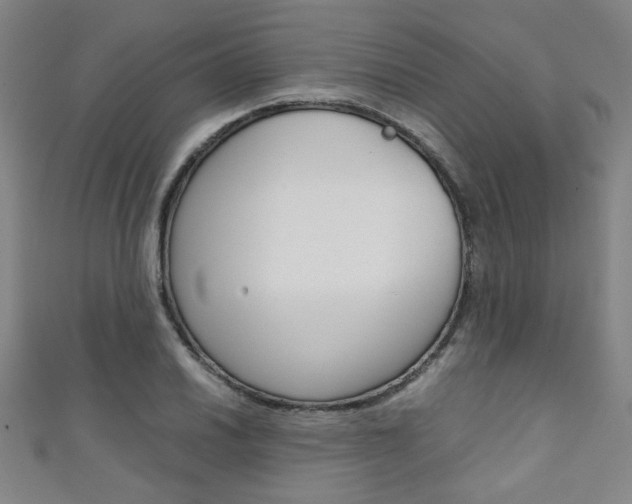 X0000111351030200907100930