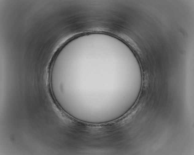 X0000111351031200907100930