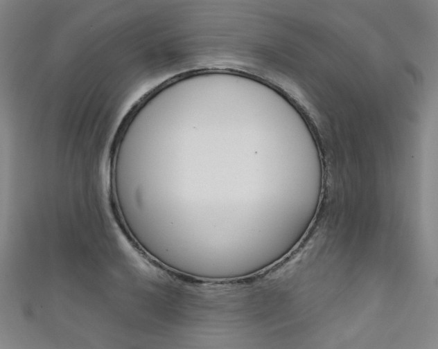 X0000111351032200907100930