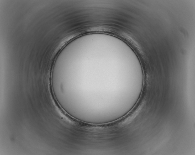 X0000111351033200907100930