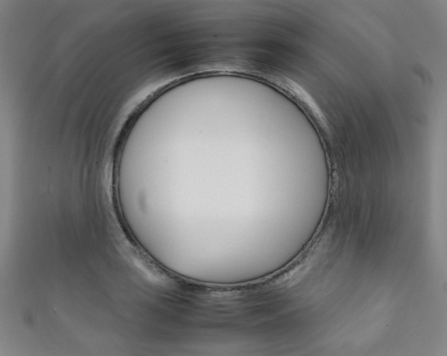X0000111351035200907100930