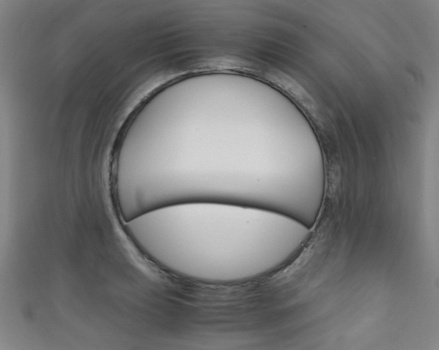 X0000111351039200907100931