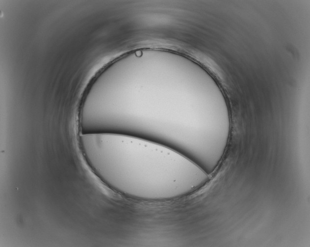 X0000111351040200907100931