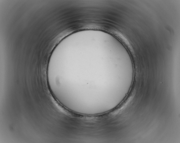 X0000111351041200907100931