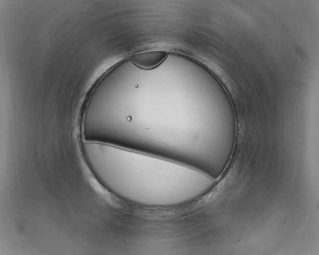 X0000111351042200907100931