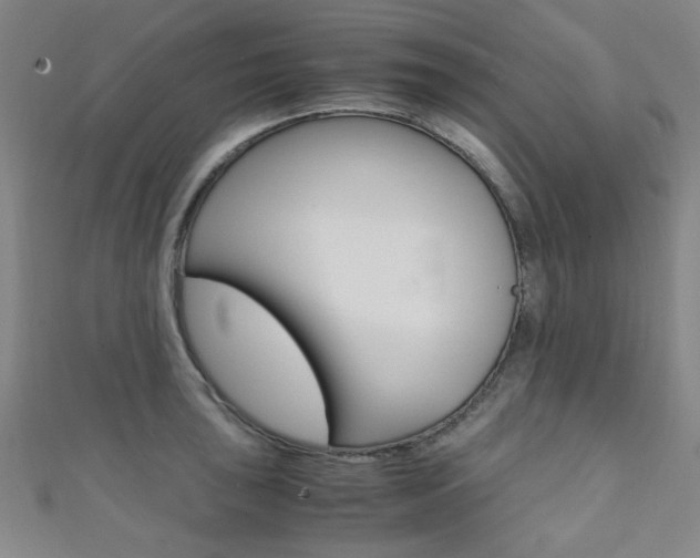 X0000111351043200907100931