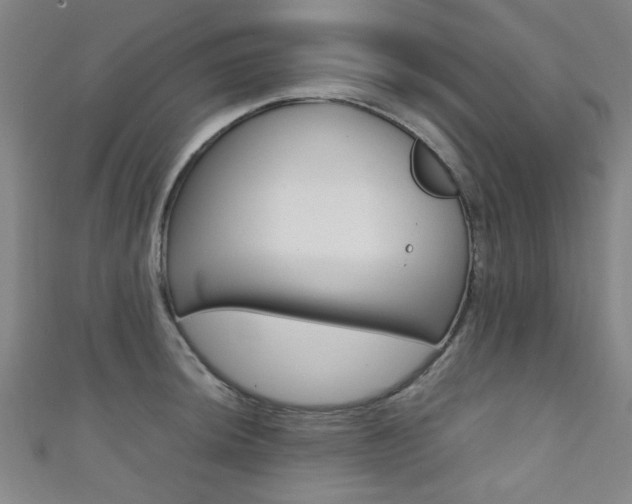 X0000111351044200907100931