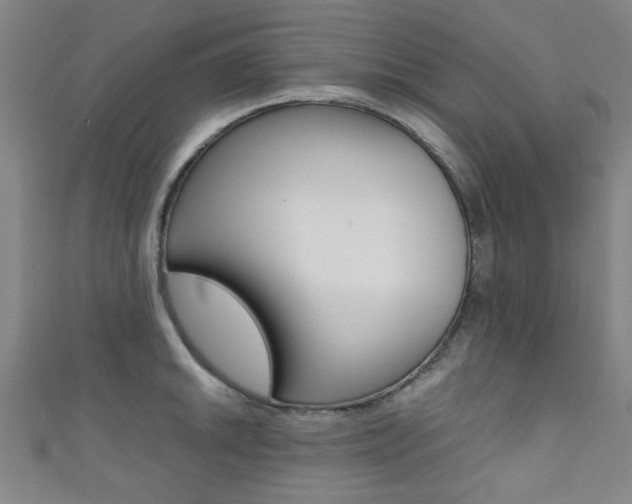 X0000111351046200907100931