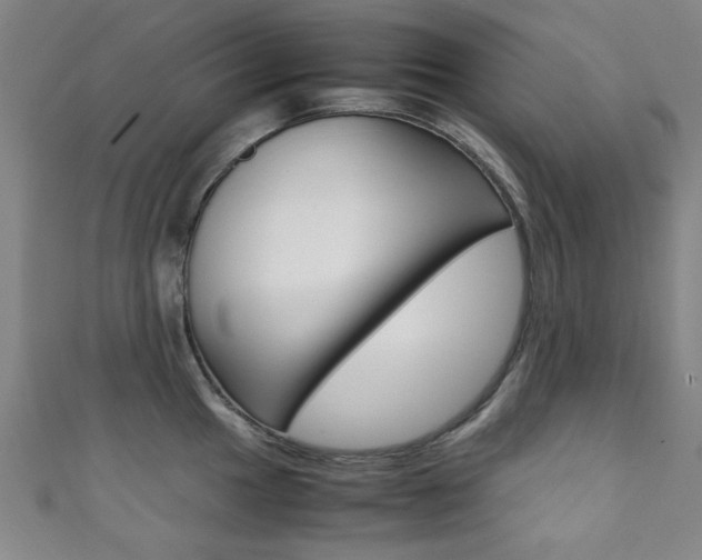 X0000111351049200907100931