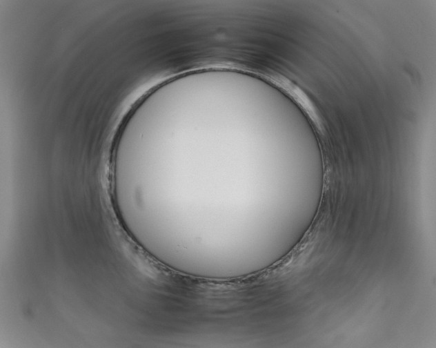 X0000111351051200907100931