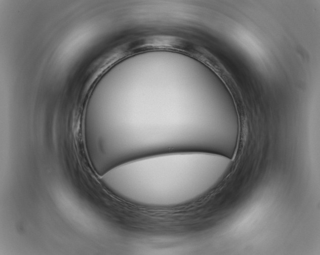 X0000111351052200907100931