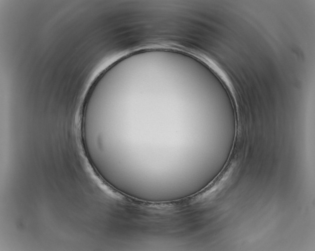 X0000111351053200907100931