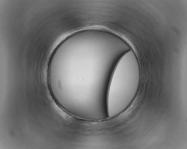 X0000111351054200907100931