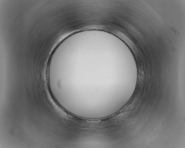 X0000111351055200907100931