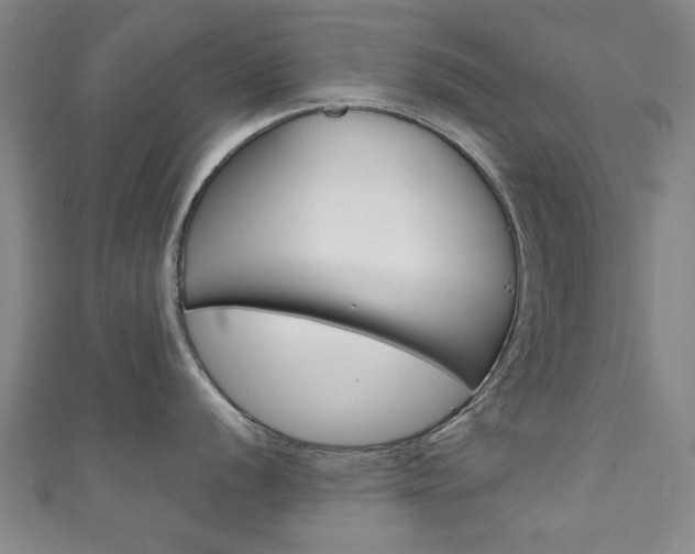 X0000111351056200907100931