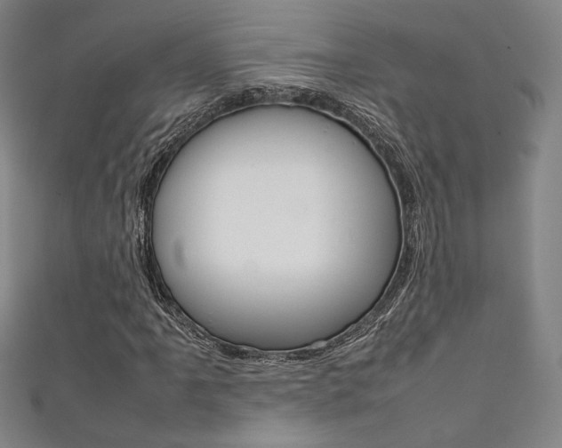 X0000111351061200907100930