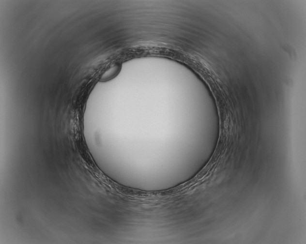 X0000111351062200907100930