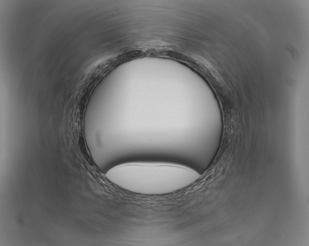 X0000111351063200907100930