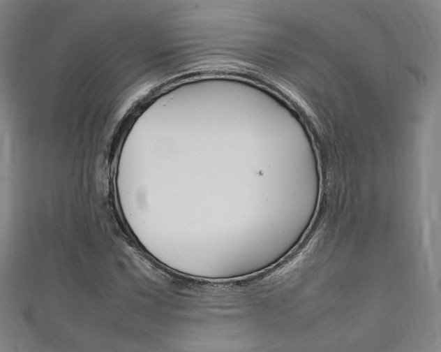X0000111351067200907100930