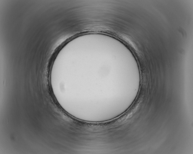 X0000111351071200907100930