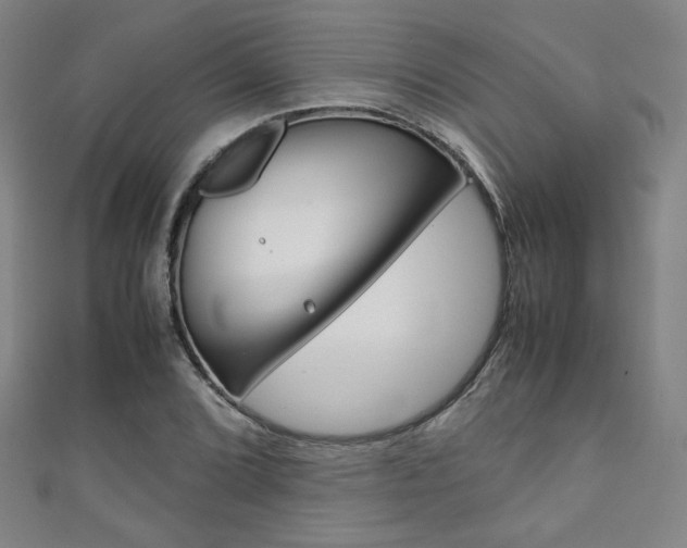 X0000111351072200907100930