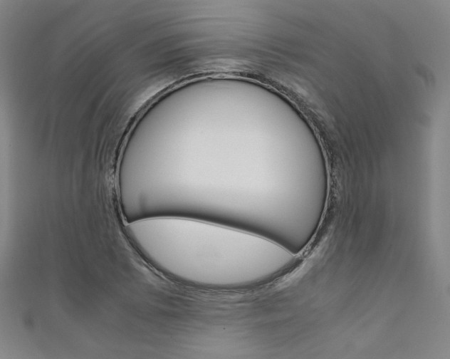 X0000111351073200907100930