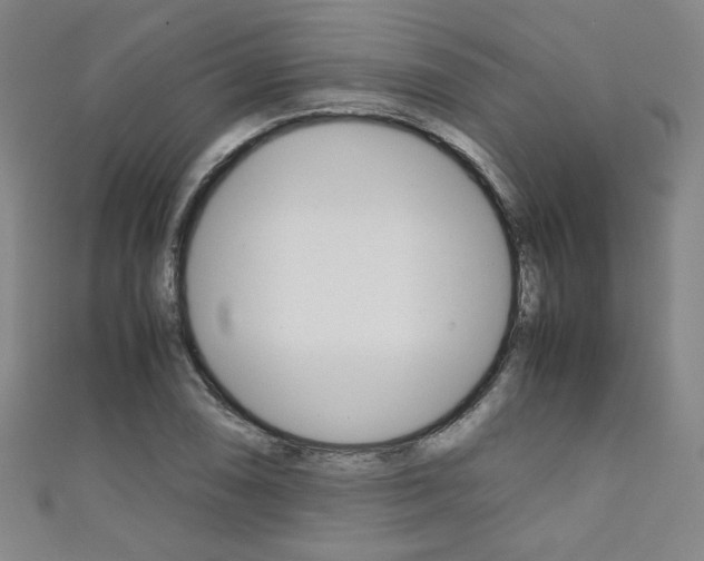 X0000111351074200907100930
