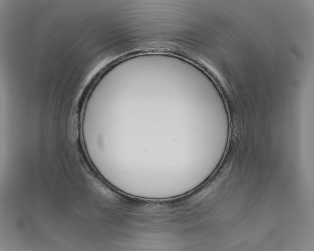 X0000111351075200907100930