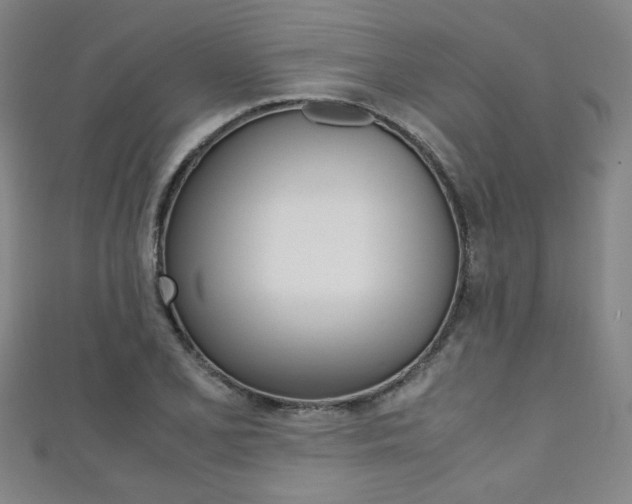 X0000111351077200907100930