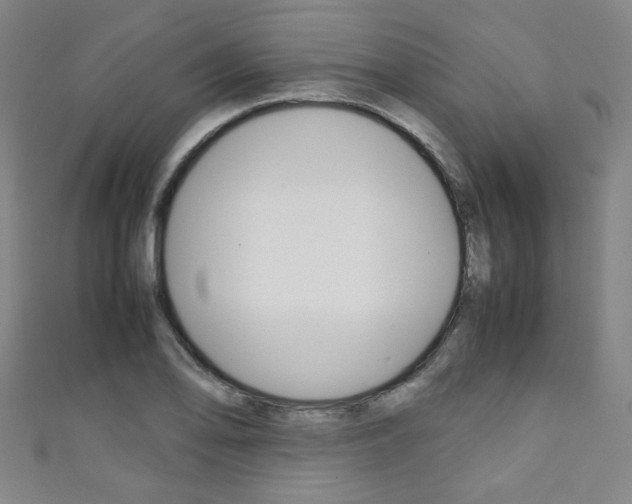 X0000111351078200907100930