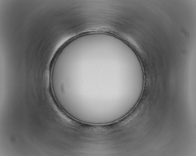 X0000111351079200907100930
