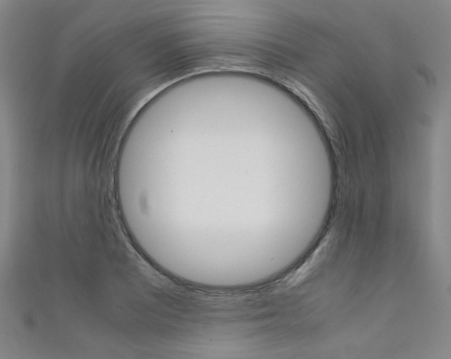 X0000111351081200907100930