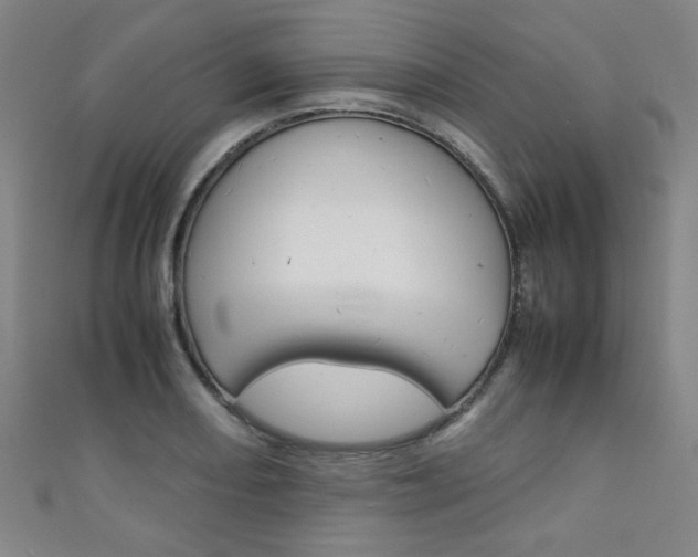 X0000111351082200907100930