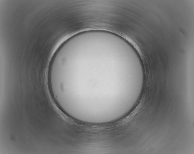 X0000111351085200907100929