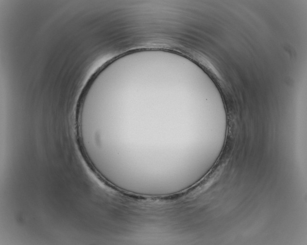 X0000111351087200907100929
