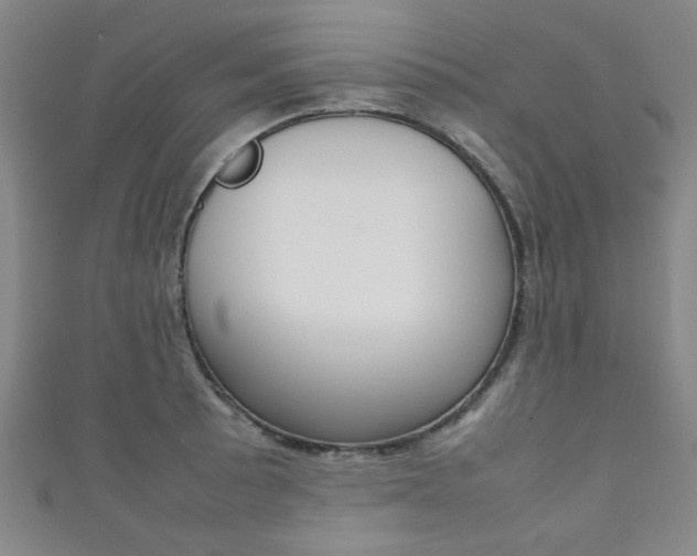 X0000111351089200907100929