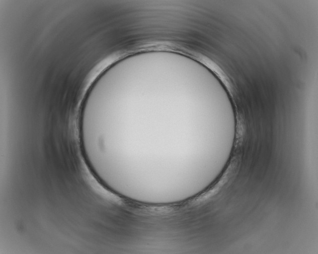 X0000111351090200907100929