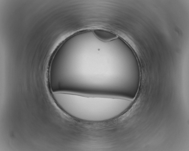 X0000111351093200907100929