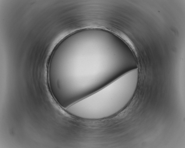 X0000111351096200907100929
