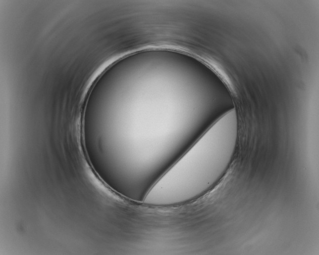 X0000111351100200907100929