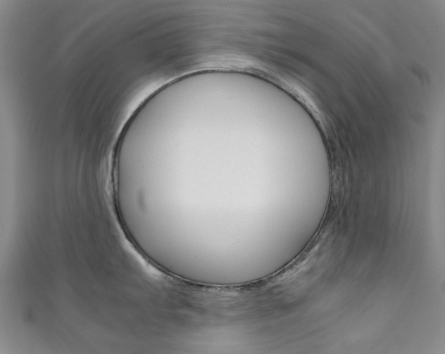 X0000111351103200907100929