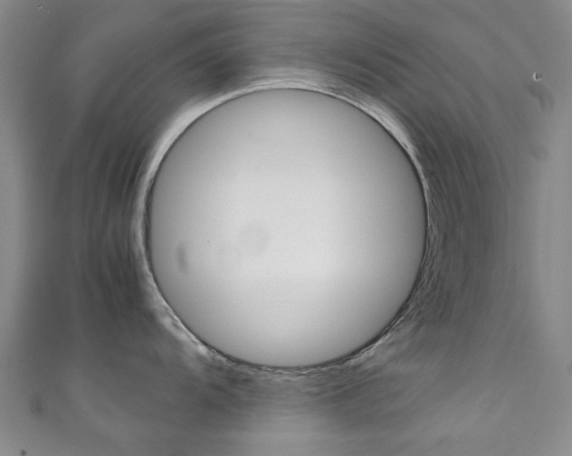 X0000111351104200907100929
