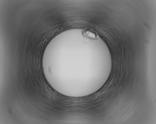 X0000111351108200907100929