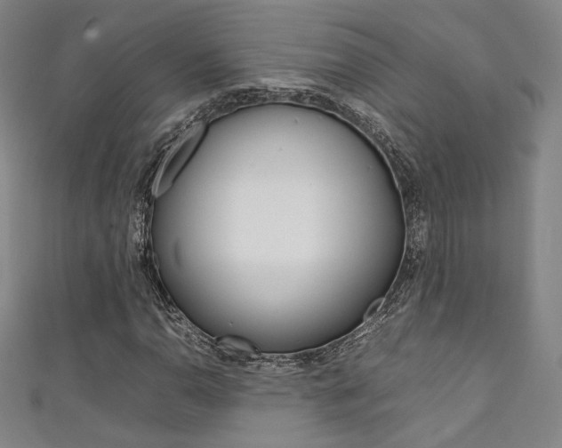X0000111351110200907100929